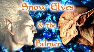Snow Elves & the Falmer - Elder Scrolls Lore (Ft. Xith)