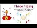 Phage Typing and Bacterial Interactions