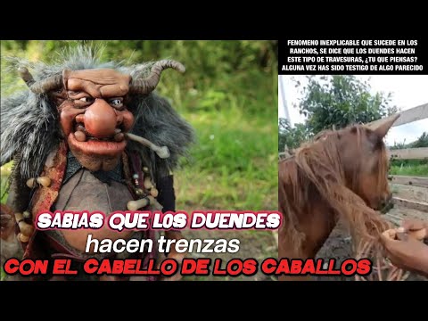 "¡Increíble! ¿Duendes Hacen Trenzas en Caballos? La Verdad Te Sorprenderá"