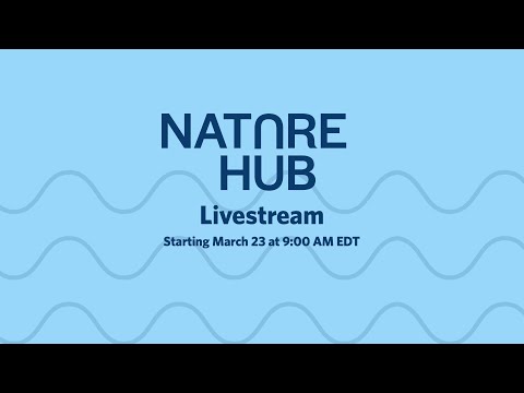 Nature Hub at the UN 2023 Water Conference (Day 2)
