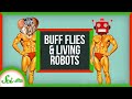 Living Robots and Computational Biology