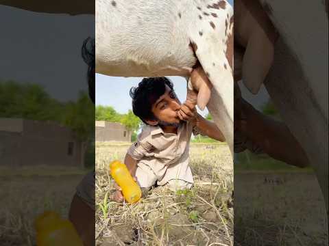 Allah ke madad #shortsfeed #shortvideo #ytshorts