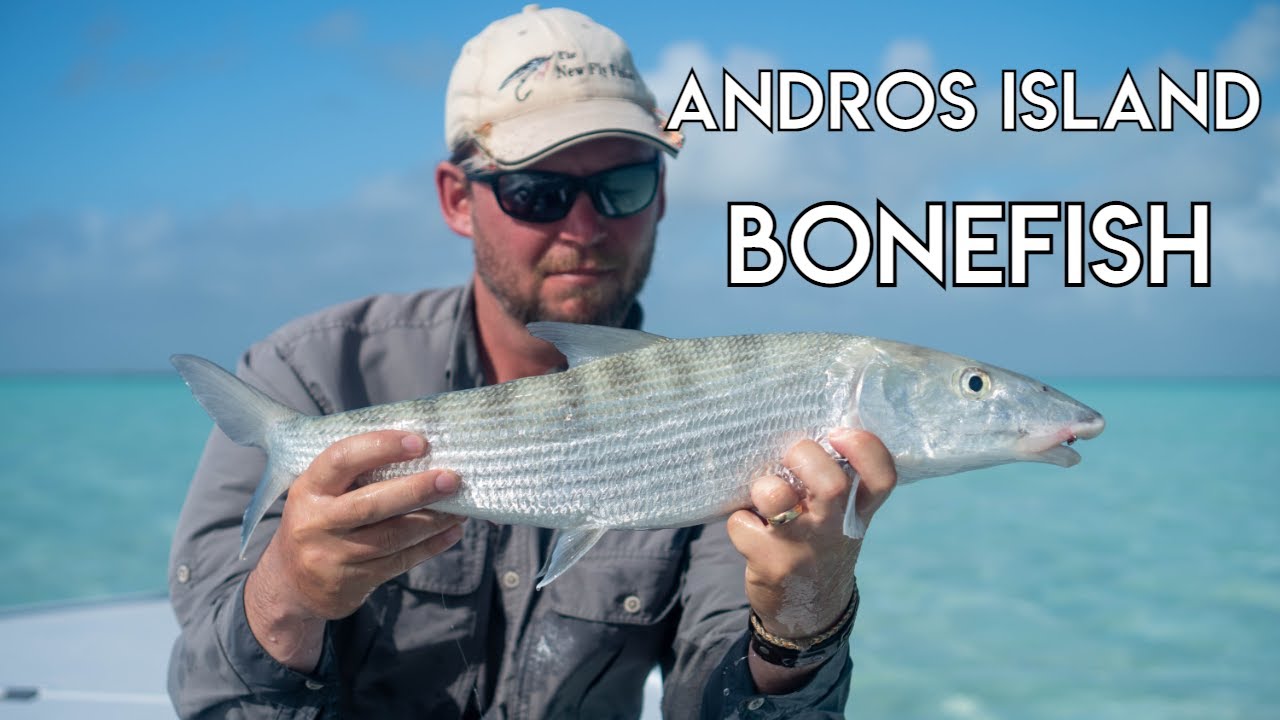 Andros Island Bonefish - Bahamas The New Fly Fisher