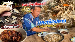 แกงเห็ดปลวกเข้าดอ รอบสุดท้ายของปี!! ดอกใหญ่ๆ เก็บสดๆ แกงกินตอนเช้าข้าวเหนียวฮ้อนๆ จ้ำแจ่วบักกอก!!