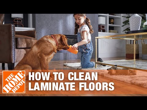 How To Clean Laminate Floors, Best Way To Clean Laminate Floors With Dogs