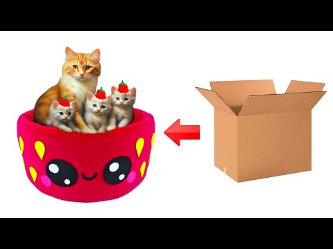 Mom cat and kittens are happy to have a new home. DIY cat house