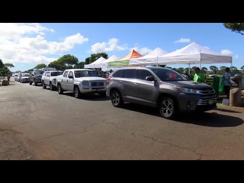 YouTube video thumbnail: Foodbank Distribution Event in Waipio Reaches Capacity