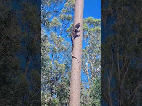 I just managed to capture this 😧 #shorts