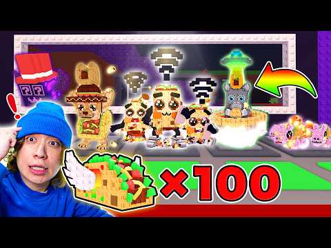 タコスブロックを１００個あけて秘密のブレインロットを盗む🌮【ロブロックス/ROBLOX】