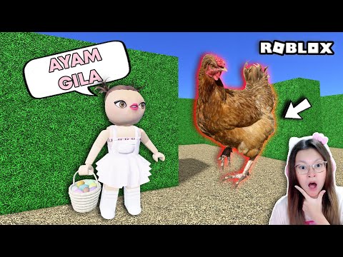 Mencuri Telor Dan Di Kejar Ayam Gila ?!! [Roblox Indonesia]