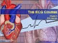 ECG Rhythm and Interval Assessment