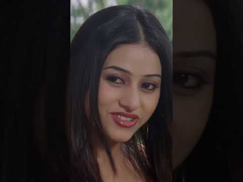 সত্যি তুমি রাগ করোনি? #bengalicinema #svfekush