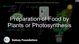 Preparation of Food By Plants (Photosynthesis)