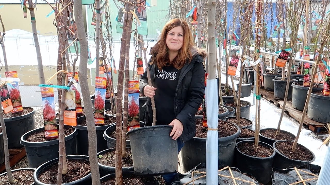 First Tree Load of 2021!