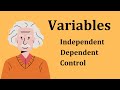 Exploring Independent and Dependent Variables