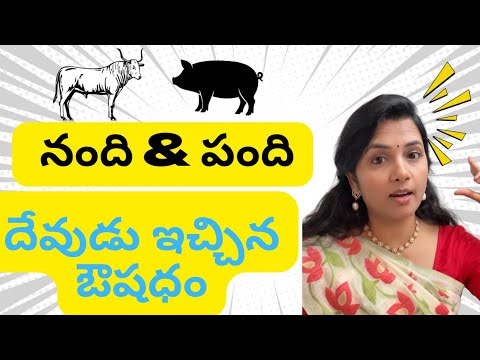 స్నానం చేయని పిల్లలు పందులవుతారట 🐷 ఎద్దు – పంది కథ 🚿 పిల్లలు వెంటనే స్నానం చేస్తారు!