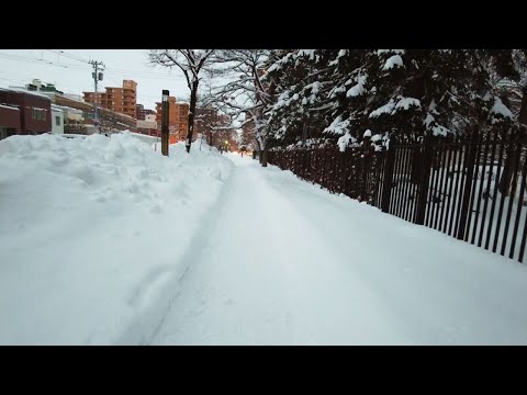 札幌の雪道を散歩（2024/1/14）