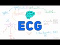 ECG Concepts and Interpretations