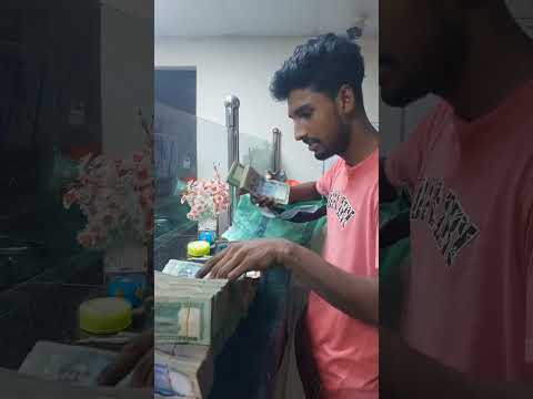 মাএ এক মাসে 700 কটি টাকার মালিক হলেন 20 বছরের  এক যুবক #shorts #short #shortvideo #bdcomedybari