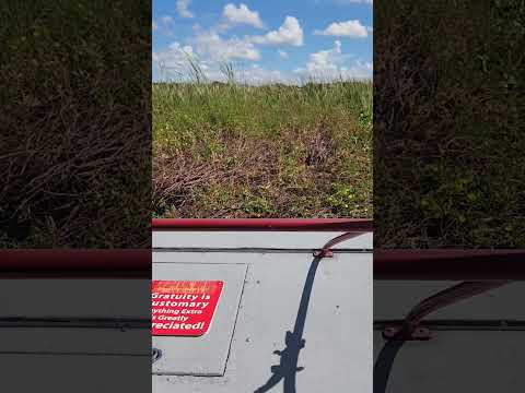 When you hit mamá Home😬😰#shorts #shortvideo #lakers #lake