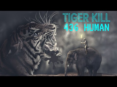 एक ही रात में बाघ ने 436 लोगों को उतारा मौत के घाट🥶🐆#animals #facts #viral #tiger #factsinhindi