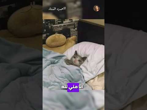 أنا مش عارف بجد بتحبو الشتاء علي اي ! 😂