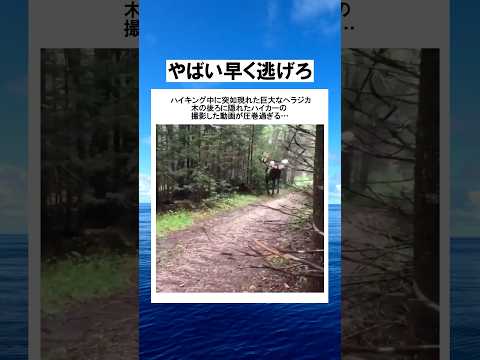 捕獲レベル500