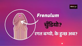 Frenulum चुँडियो! के यो खतरा हो? @younkakura2202