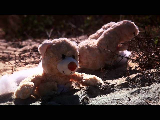 Naughty Bear Panic in Paradise - Beach Massacre