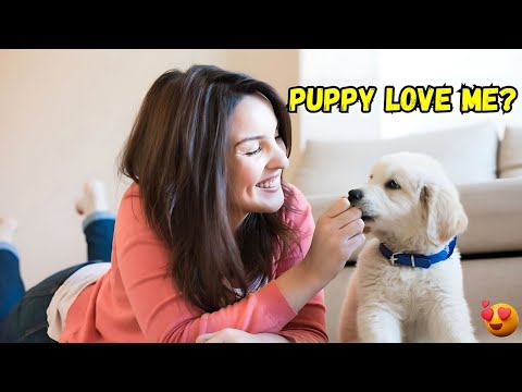 How To Know if your Puppy Loves You