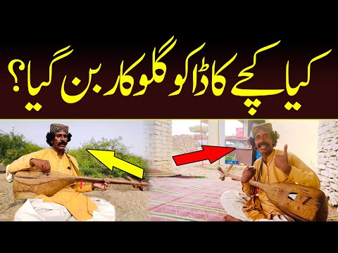 Kiya kachy ka daku gulukar ban gaya | new video | kachy ka daku