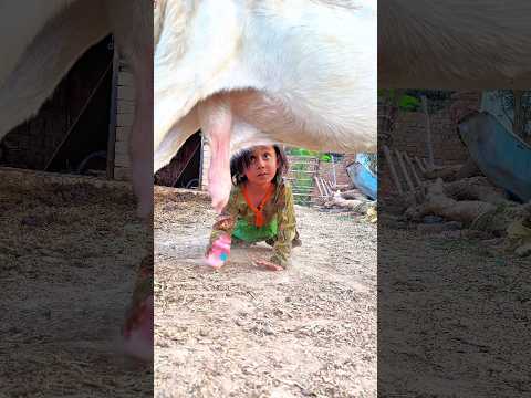 Bachi ne aisa q kia #trending #ytshorts #emotion#foryou #shortfeed