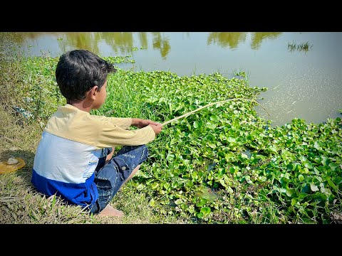 Fishing Video 2025 || Village Smart Boy Catch Fish by Hook From Village Pond With Beautiful Nature