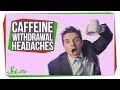 Understanding Caffeine and Its Effects