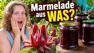 Hibiskus-Marmelade selbst gemacht – vom Strauch bis ins Glas
