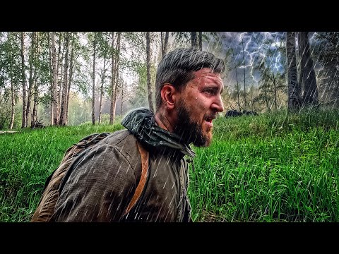 SURVIVAL IN THE FOREST WITHOUT FOOD AND WATER | ONLY 5 THINGS | BEARS NEAR