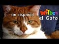 La vida de Wilber, el gato La vida de Wilber, el gato