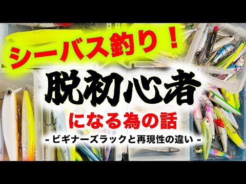 シーバス釣り！脱初心者になる為の話 - ビギナーズラックと再現性の違い - シーバスルアー