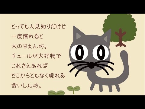 ◆ざっ雑談！やっちゃんねるのやっちゃんが世界に羽ばたく可能性は0.002%ですスペシャル！