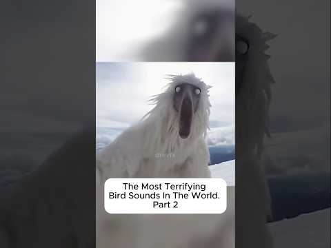 The Most Terrifiying Bird Sounds In The World Part 2 😨