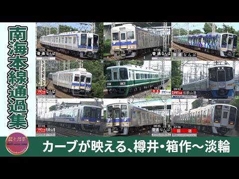 泉南の曲線区間を走る、南海本線通過集(2025.7)【続々列車】
