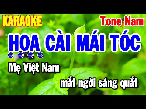 Karaoke Hoa Cài Mái Tóc Tone Nam Nhạc Sống Cha Cha Đỉnh Nhất 2025 | Thanh Hải