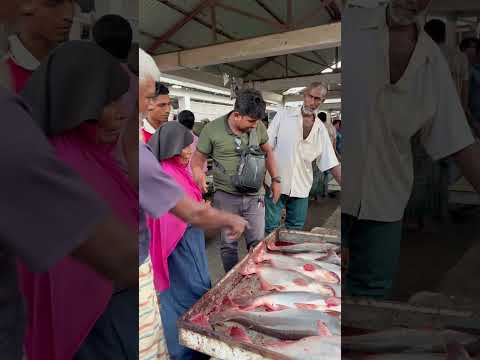 ছোট্ট এক টুকরো মাছও কারো মুখে হাসি আনতে পারে।”