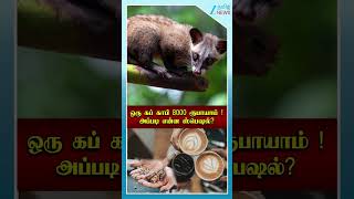 ஒரு கப் காபி 8000 ரூபாயாம் ! அப்படி என்ன ஸ்பெஷல்?