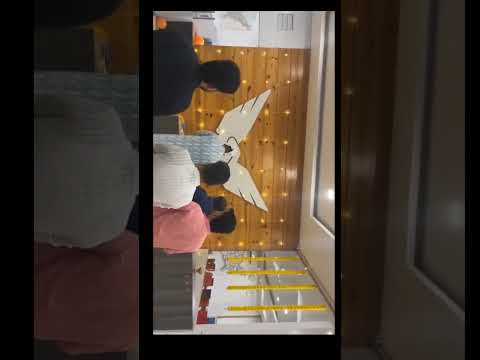 Blessed vibes at work! #trending #diwali #youtubeshorts #office #explore #viral