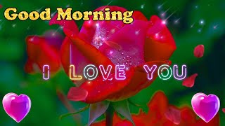GOOD MORNING STATUS VIDEO | GOOD MORNING SHAYARI | WHATSAPP STATUS | SHAYARI 2024