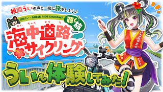 【うるま市】 根間うい 海中道路サイクリング GREEN RIDE OKINAWA 体験してきた！【 自転車の練習 】