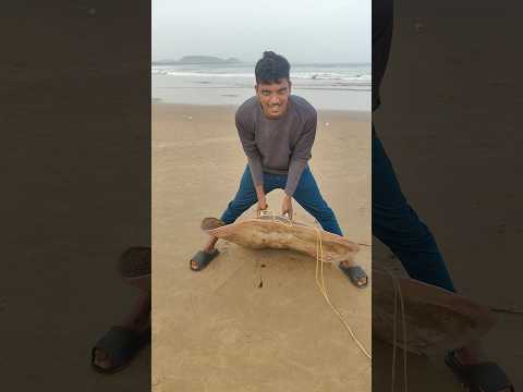 సముద్రంలో స్నానం చేస్తున్నారా #beach #danger #hunting #fishing #pudimadaka #localboynaveen