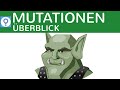 begriff-ueberblick-mutationen/