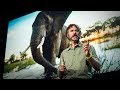 Wildlife Conservation and Wilderness Importance